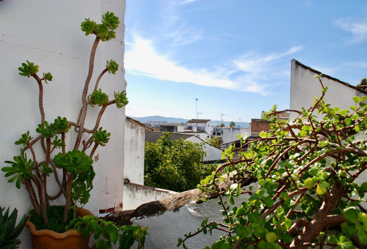 Backpacker Al-Katre Bed & Breakfast Kordoba Bagian luar foto
